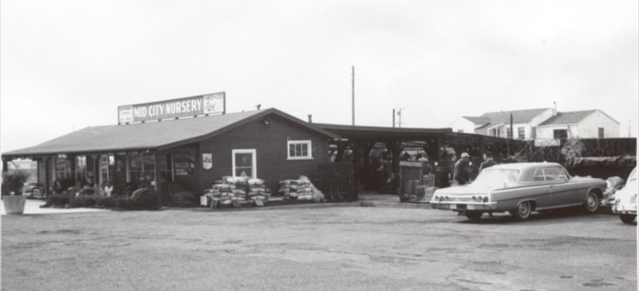 Mid City Nursery Image Gallery Mid City Nursery The Early Years