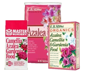 Azalea Camellia & Gardenia Fertilizer and Soil