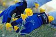 West County Gardener Gloves