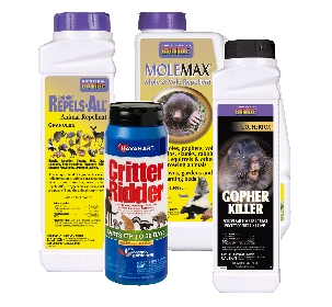 Critter Control