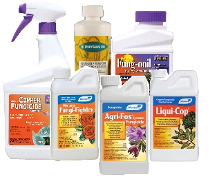 Fungicides