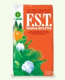 F.S.T. iron and sulfur supplement