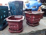 Glazed Orchid Pots
